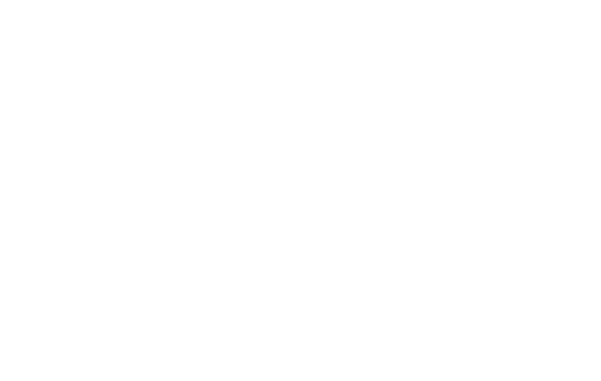 SpeK